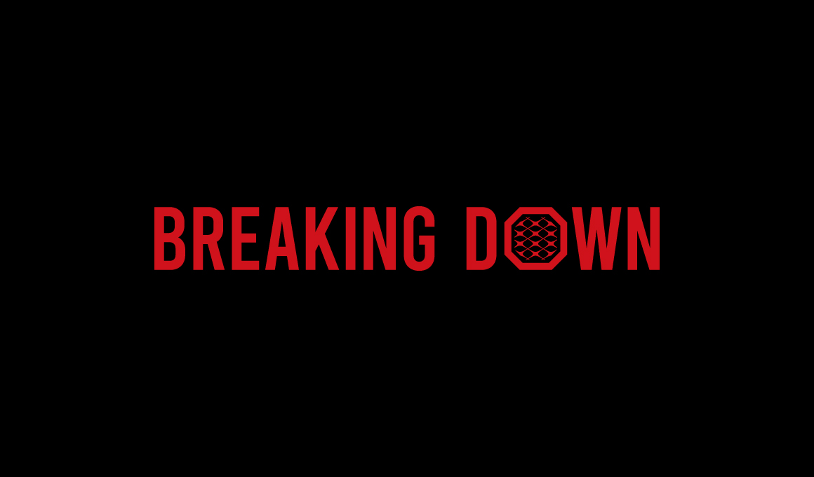 【スポンサー就任】副業アカデミーが『BreakingDown5』のシルバースポンサーに就任しました